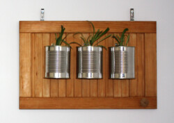 alte Küchentür aus Holz mit Aludosen mit Pflanzen